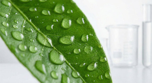 Clean vs. Clinical: Why "Clean-ical" is the Most Profitable Skincare Trend of 2026